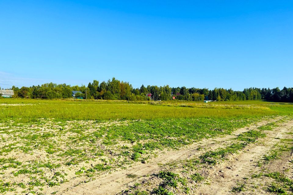 земля городской округ Пушкинский фото 10