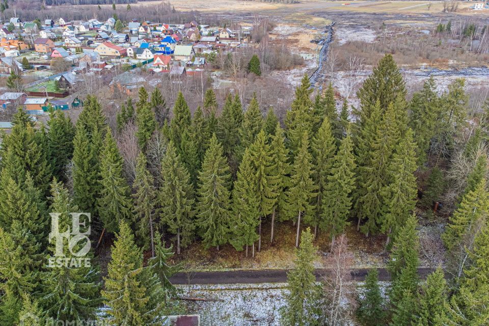 земля городской округ Дмитровский лес, Рождественский фото 8