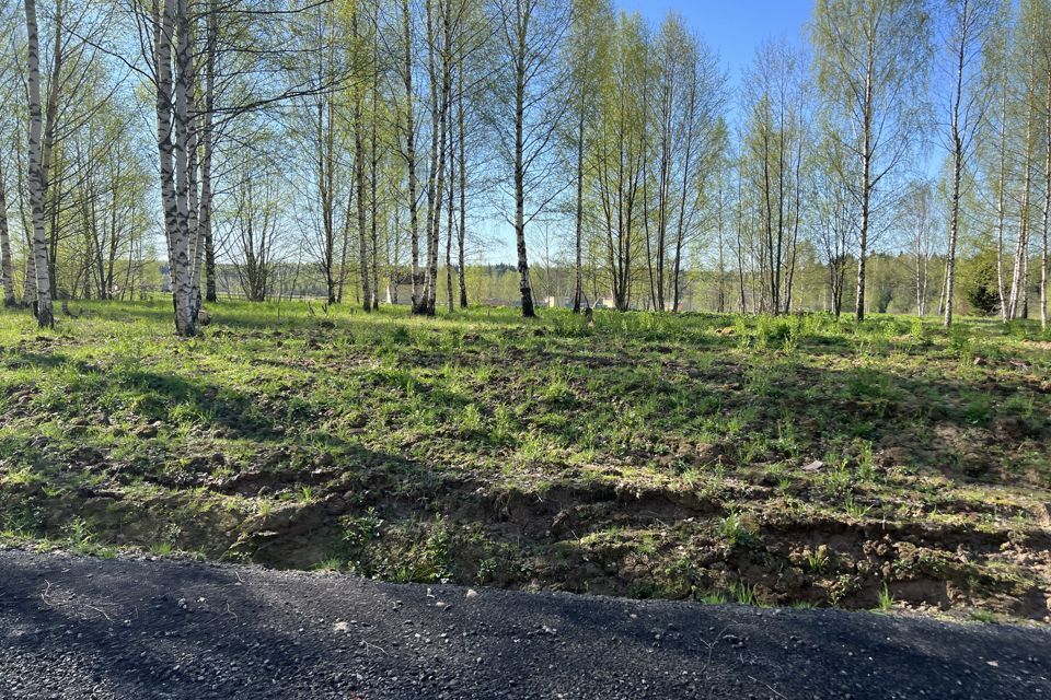 земля городской округ Сергиево-Посадский с Бужаниново ул Лесная 14 фото 10