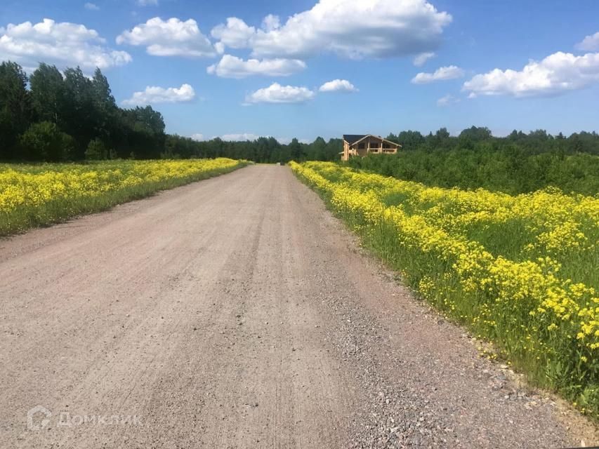 земля р-н Ломоносовский СНТ Новое Заостровье фото 3