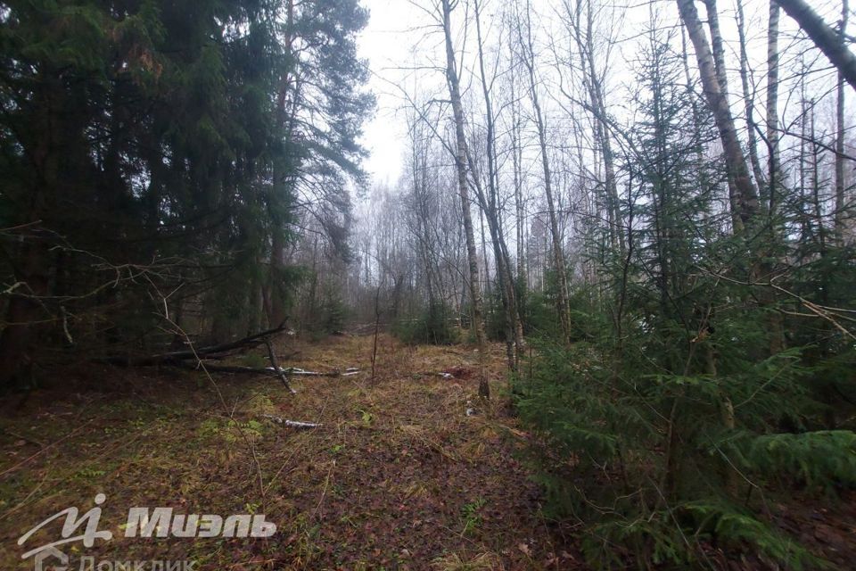 земля городской округ Раменский куст, Гжельский фото 1