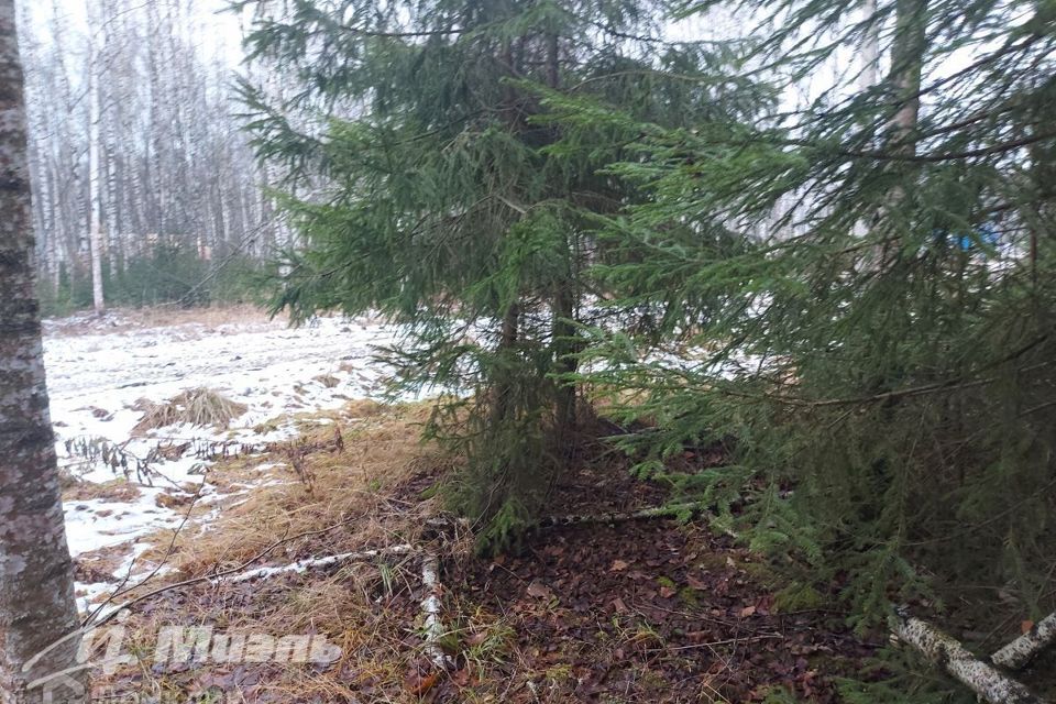 земля городской округ Раменский куст, Гжельский фото 3