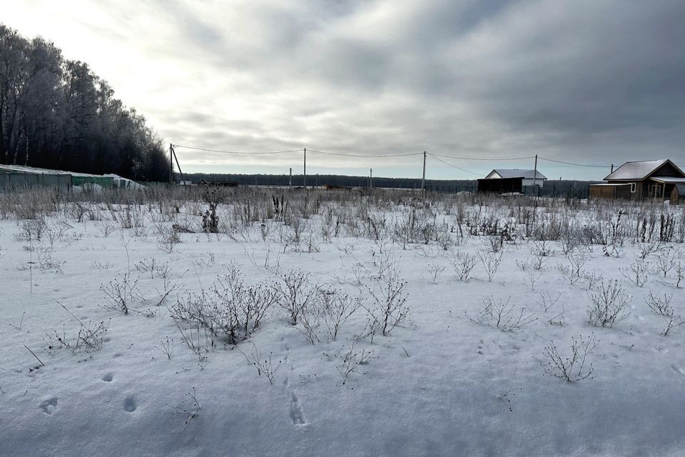 земля городской округ Домодедово Курганье фото 6