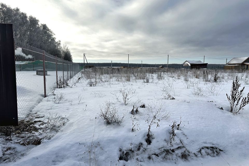 земля городской округ Домодедово Курганье фото 7