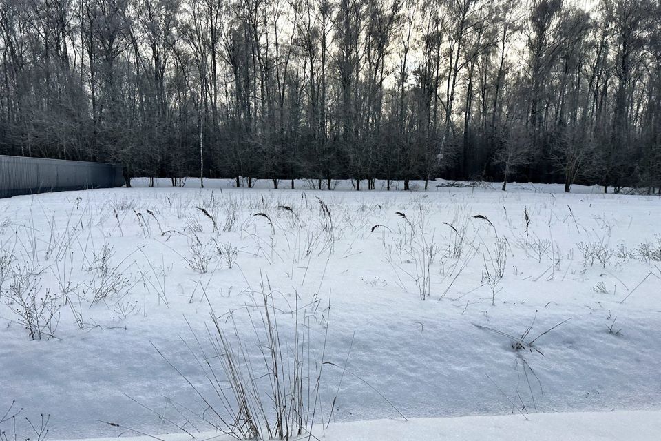 земля городской округ Домодедово Курганье фото 6