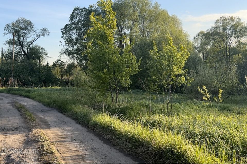 земля городской округ Раменский д. Яньшино фото 3