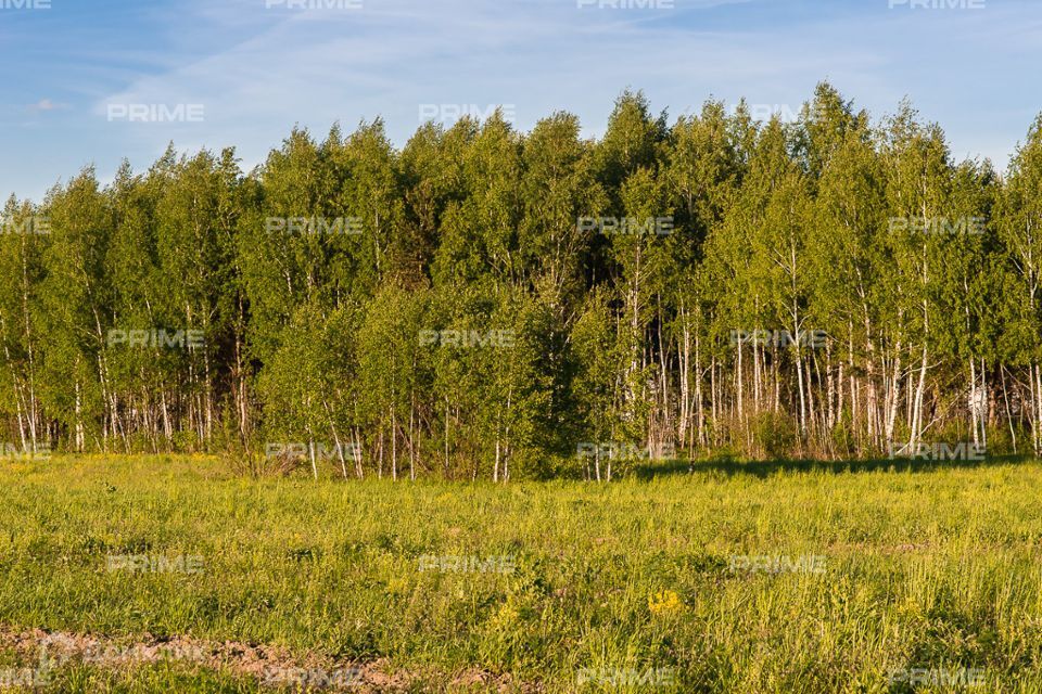 земля городской округ Одинцовский фото 1