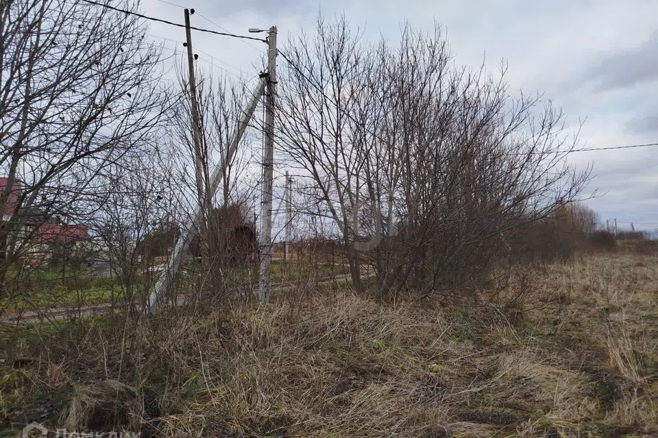 земля городской округ Талдомский с. Новогуслево фото 7