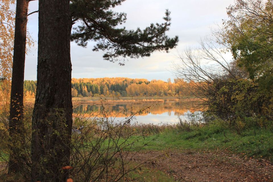 земля городской округ Дмитровский фото 6