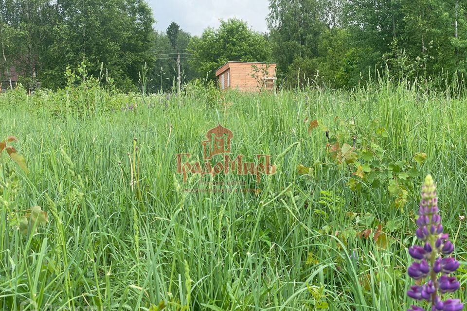 земля городской округ Сергиево-Посадский СНТ Орбита фото 7