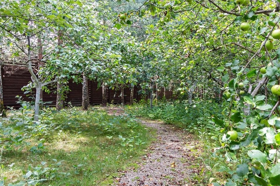 земля городской округ Одинцовский с. Знаменское фото 3