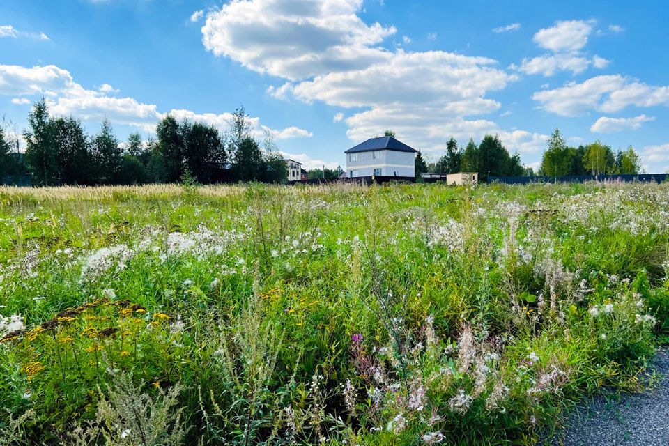 земля городской округ Дмитровский фото 9