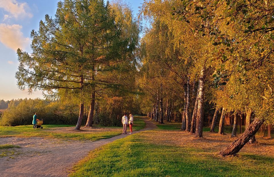 дом городской округ Дмитровский коттеджный посёлок Зелёный Оазис фото 6