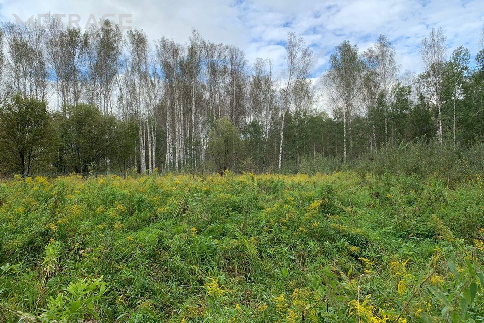 земля р-н Новосибирский садовое товарищество Боровушка фото 3