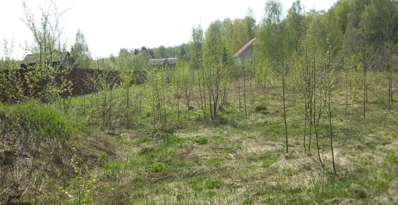 земля городской округ Сергиево-Посадский д Новая Шурма 80 км, Богородское, Ярославское шоссе фото 3