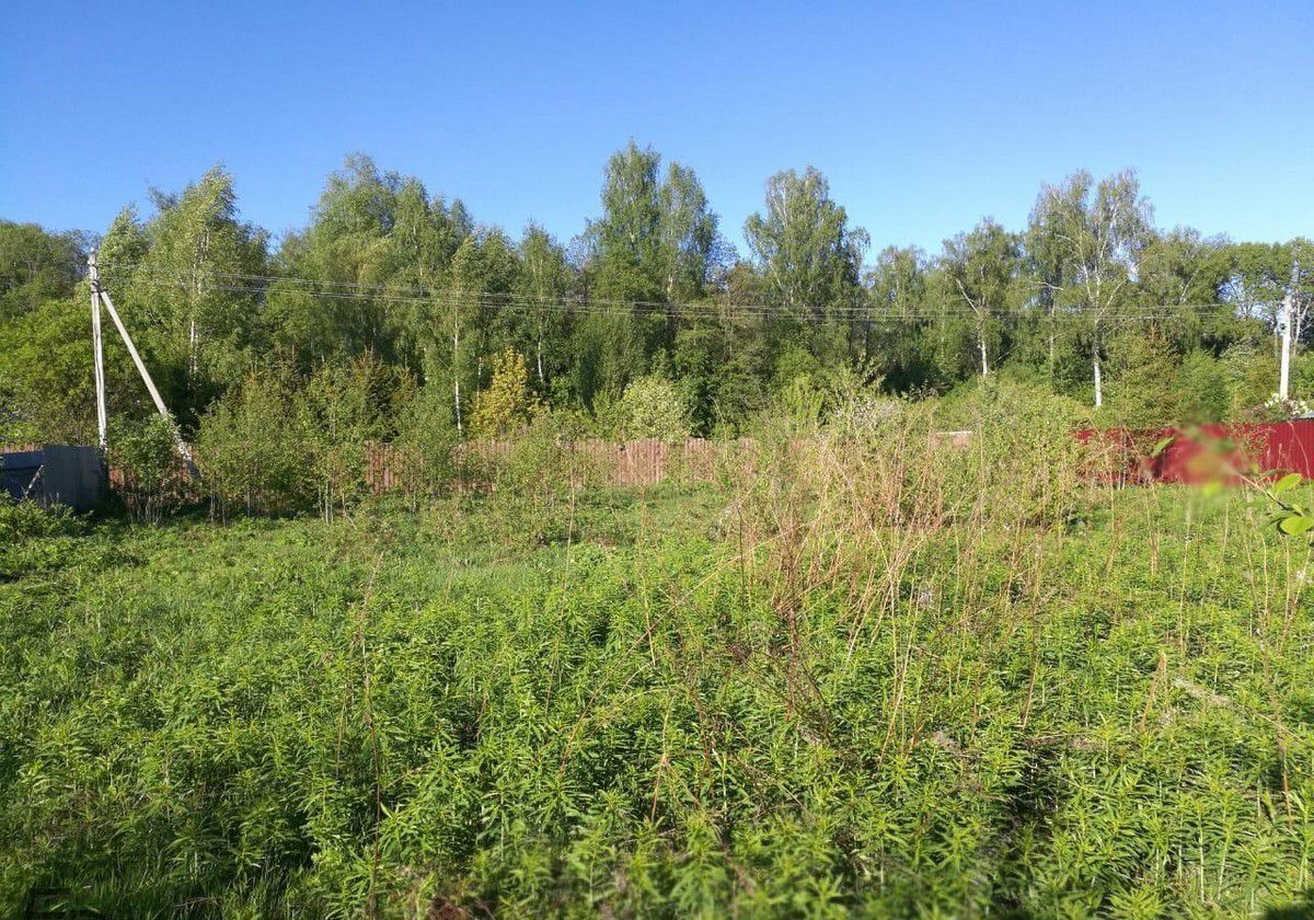 земля городской округ Сергиево-Посадский д Новая Шурма 80 км, Богородское, Ярославское шоссе фото 2