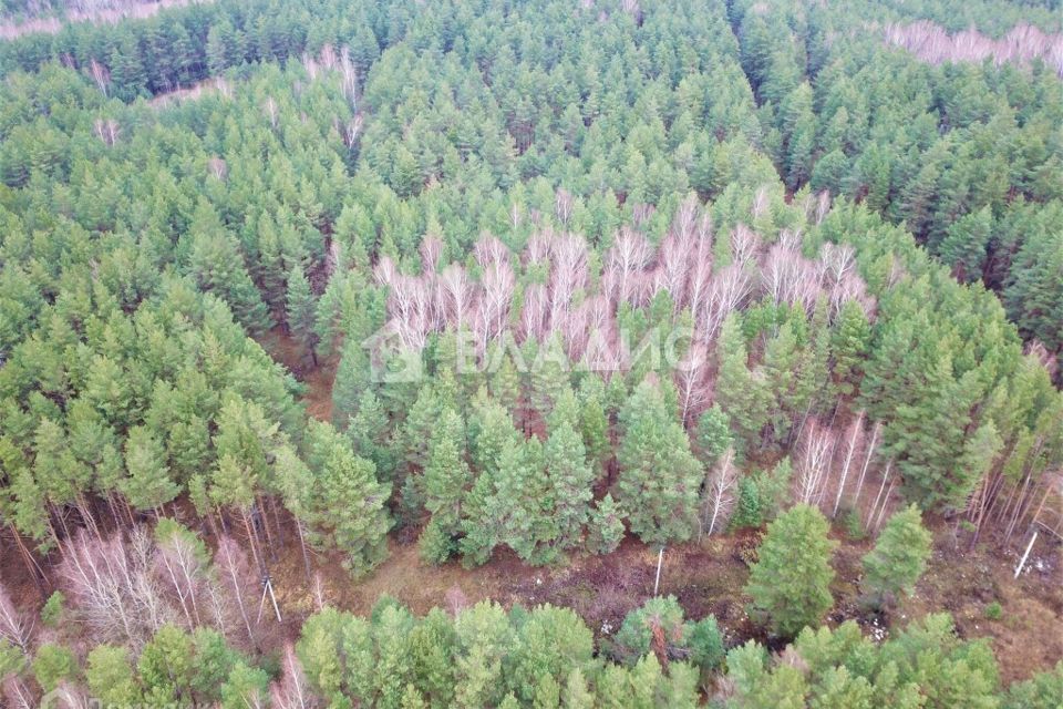 земля р-н Судогодский фото 1