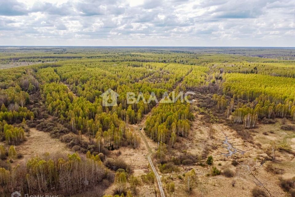 земля р-н Судогодский Кощеево фото 1