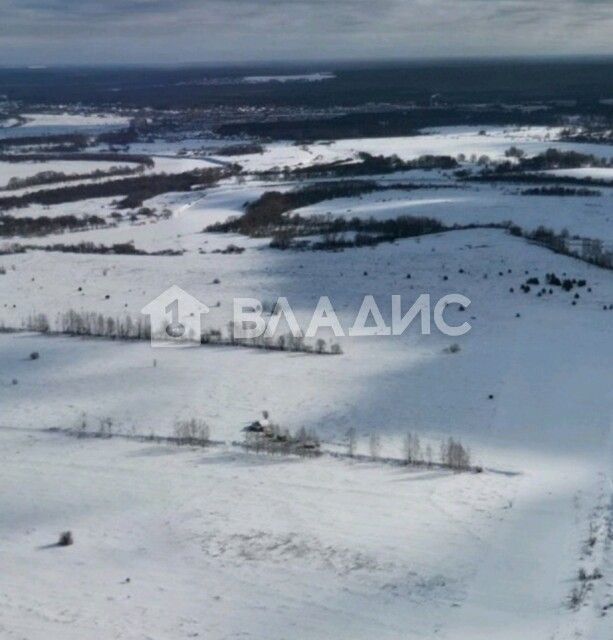 земля г Владимир р-н Ленинский городской округ Город Владимир, Сад Пойма-3 фото 1