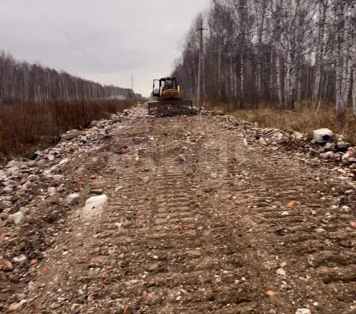 земля р-н Нижнетавдинский снт Сундукуль ул Малиновая фото 1