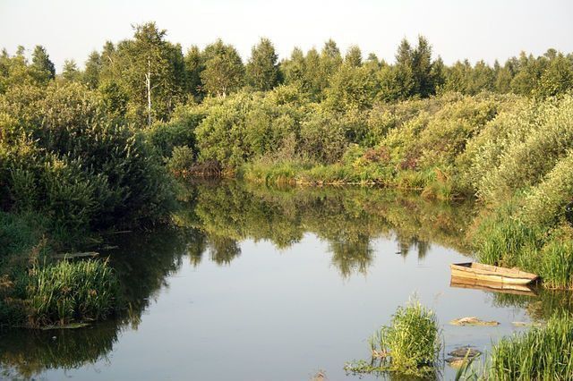 земля р-н Нижнетавдинский село Конченбург фото 1