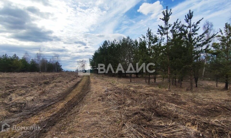 земля р-н Суздальский с Погост-Быково ул Запрудная фото 4