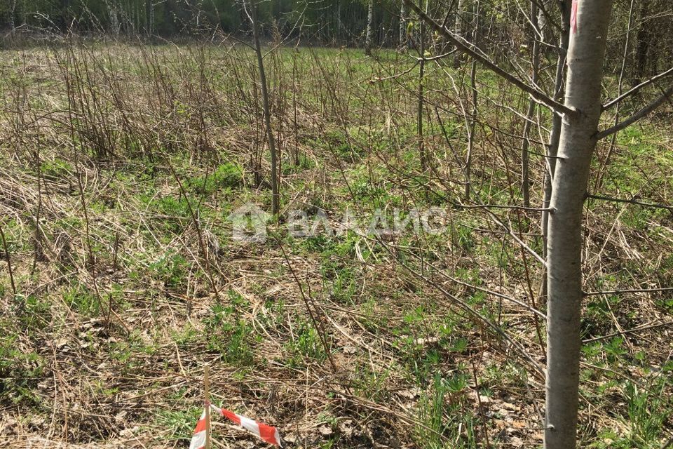 земля г Владимир р-н Октябрьский Владимир городской округ, Сад Миловка фото 4