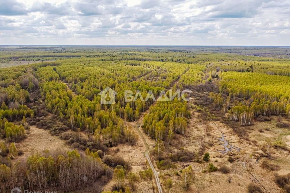 земля р-н Судогодский Кощеево фото 2