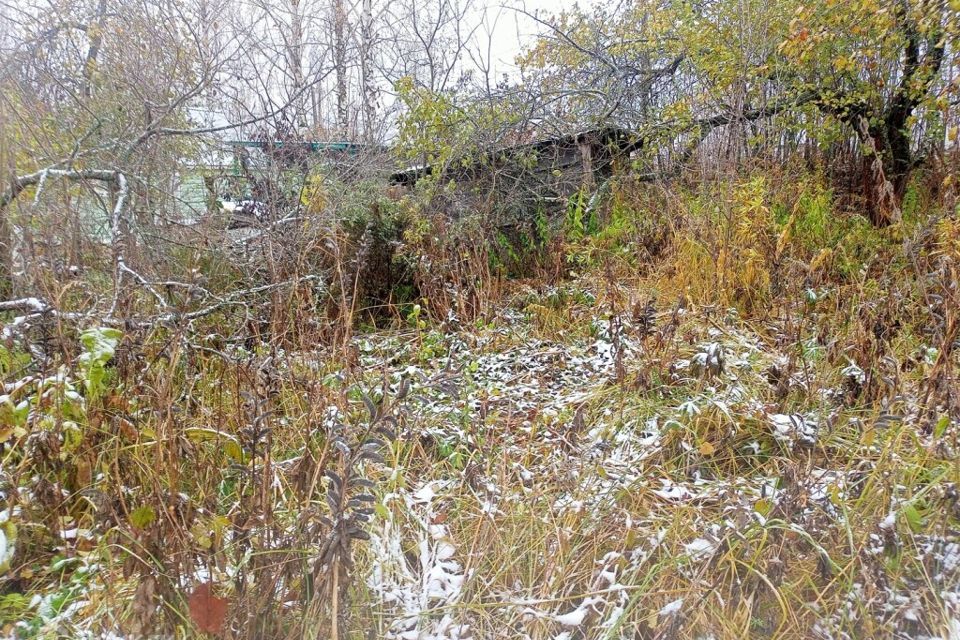 земля г Владимир р-н Ленинский Владимир городской округ, Сад Садовод фото 3