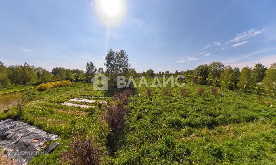 земля р-н Судогодский фото 4