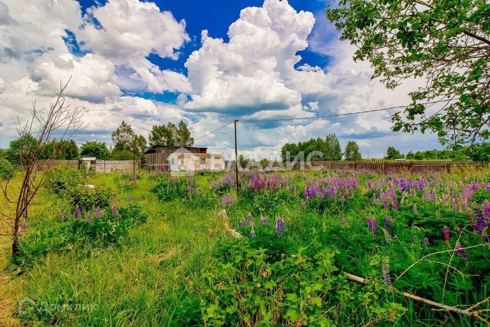 земля р-н Камешковский Бородино фото 2