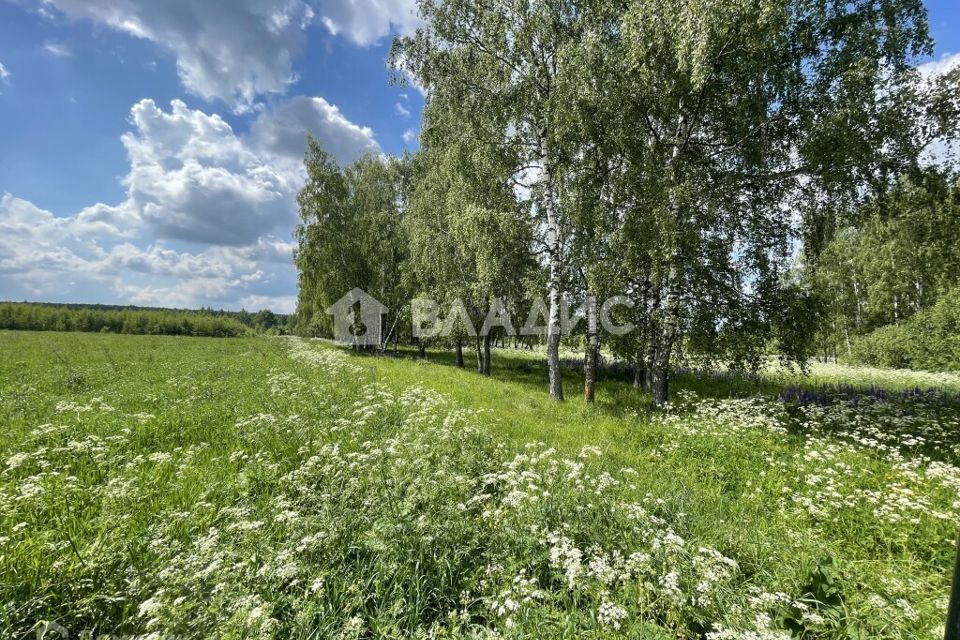 земля р-н Собинский Ягодное фото 4