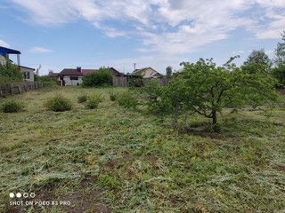 земля р-н Балашовский с Репное ул Советская фото 3