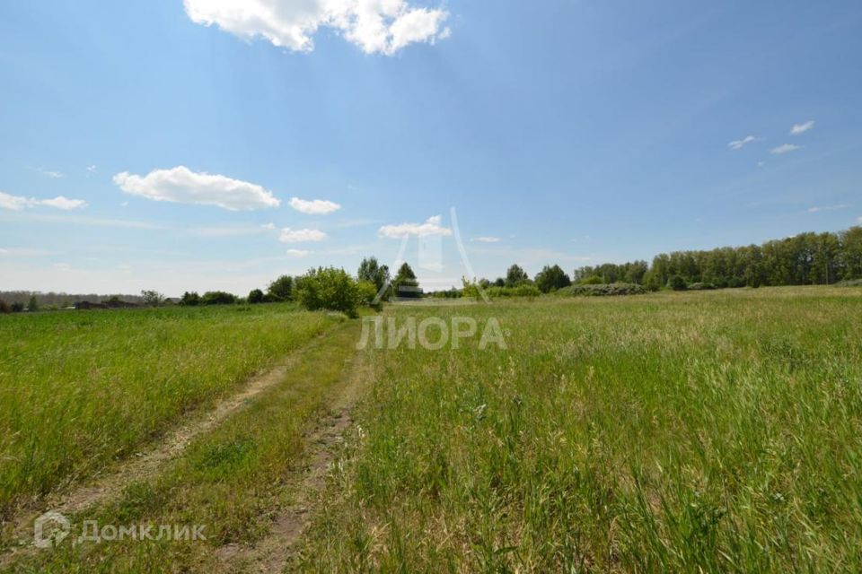 земля г Омск тракт Пушкинский городской округ Омск фото 3