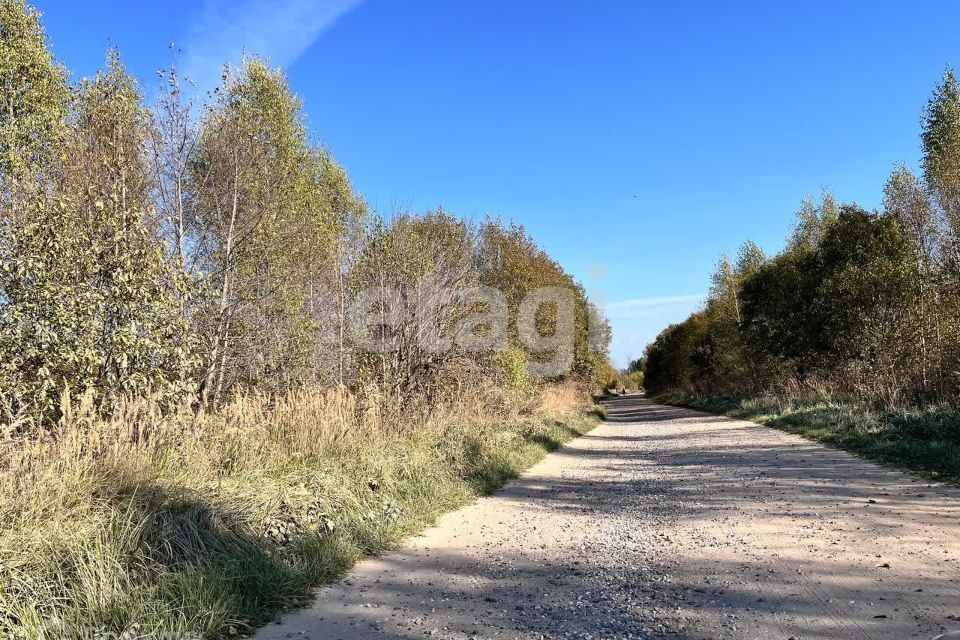 земля р-н Костромской д Серково 32 фото 1