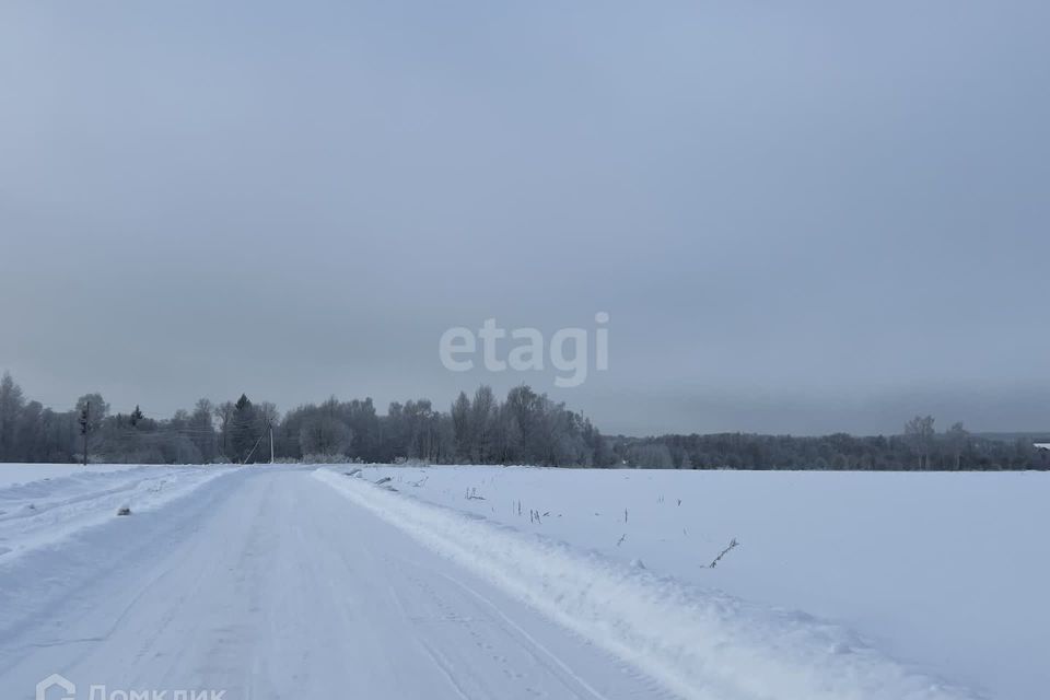 земля р-н Костромской фото 1