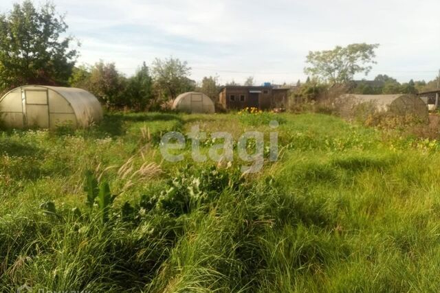 городской округ Кострома, СНТ Бетонщик фото