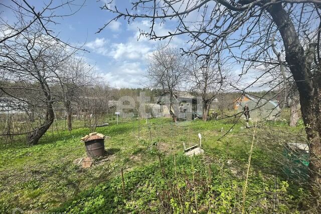 городской округ Кострома, СНТ Красинец фото