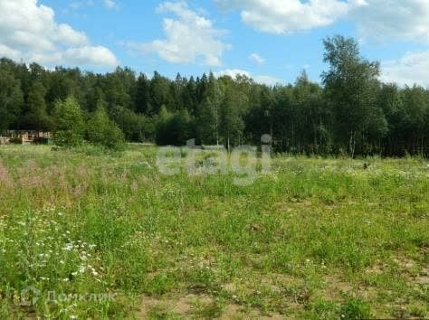 земля р-н Костромской снт Весна 126 фото 1