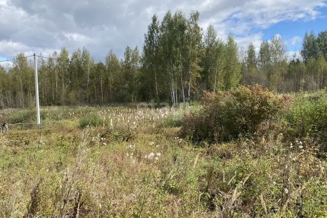 городской округ Кострома, Заволжский фото