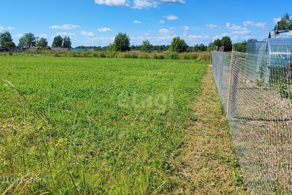 земля р-н Красносельский имени Чапаева фото 1