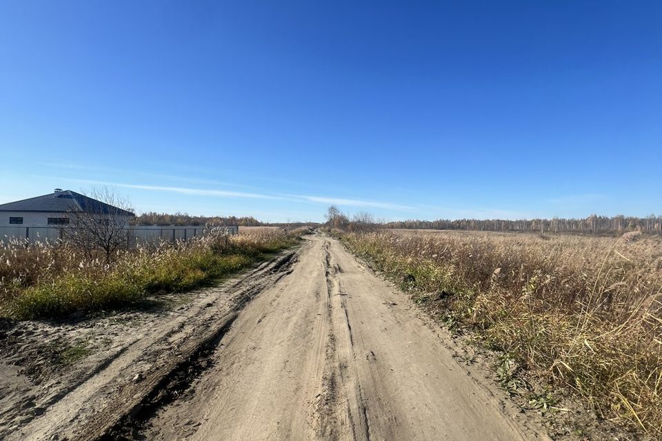 земля г Тюмень Тюмень городской округ, Центральный фото 2