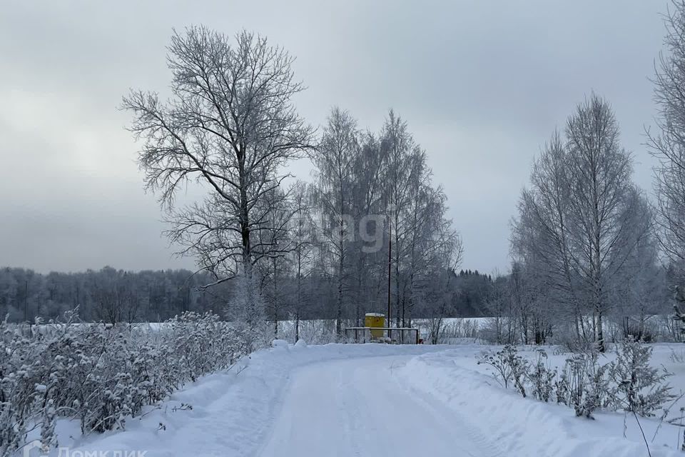 земля р-н Костромской фото 2