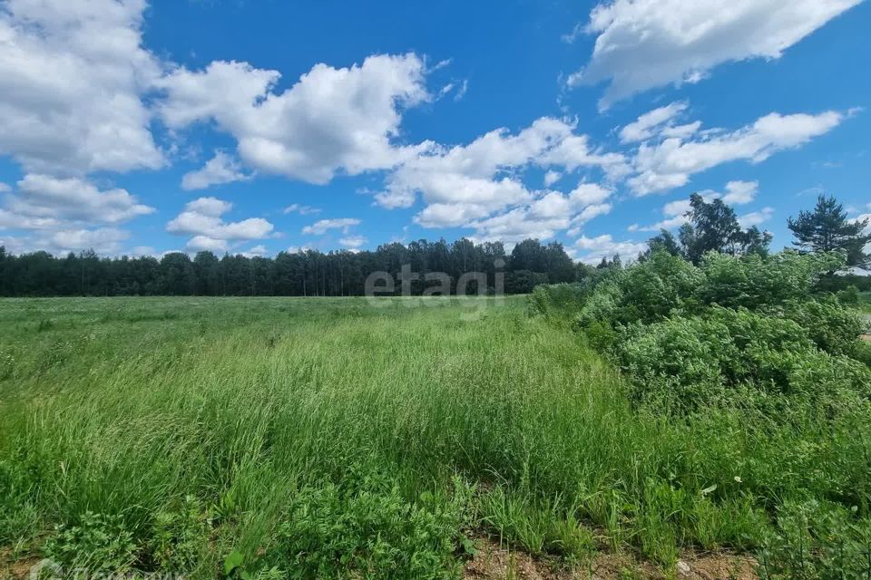 земля р-н Красносельский фото 4