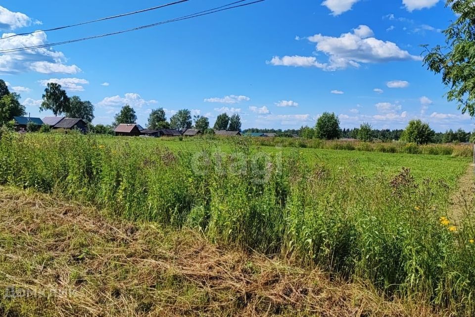 земля р-н Красносельский имени Чапаева фото 3