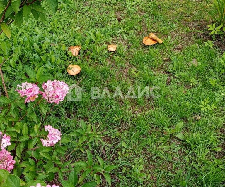 земля г Владимир р-н Октябрьский Владимир городской округ, Сад Миловка фото 7