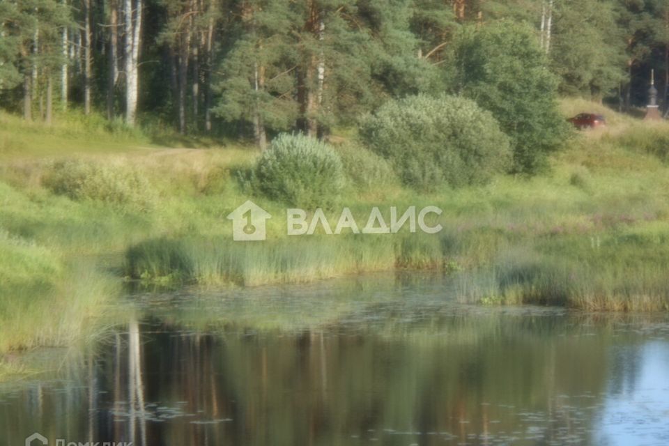 земля р-н Судогодский Лухтоново фото 5