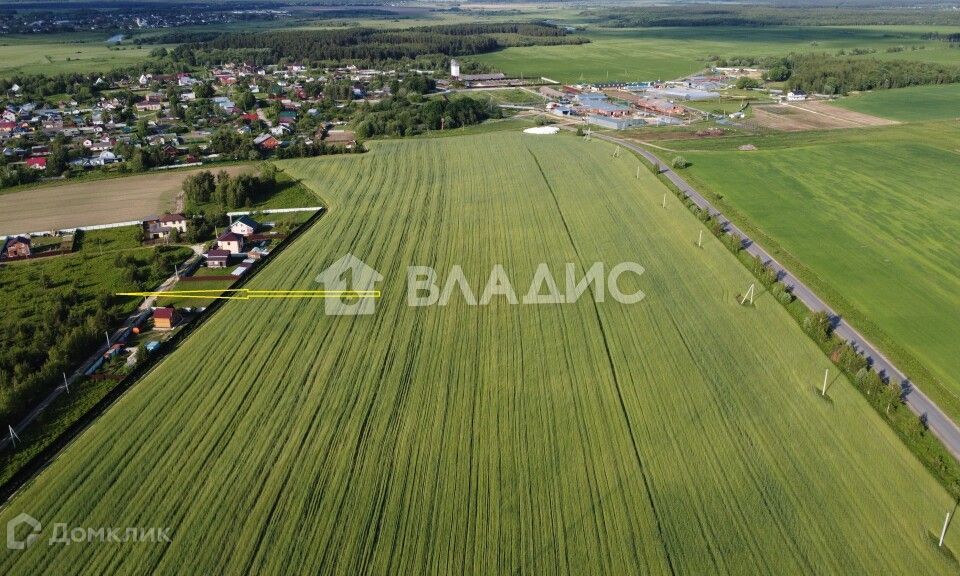 земля р-н Суздальский с Баскаки ул Андреевская 13 фото 7