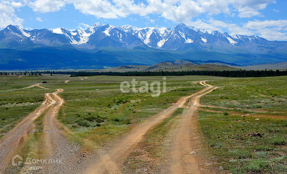 земля р-н Кош-Агачский Курай фото 5