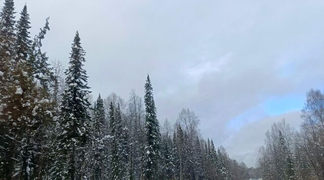 ул Красногвардейская фото